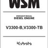 Kubota Diesel Engine V3300 B V3300 TB Workshop Manual 1