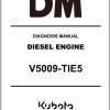 Kubota Diesel Engine V6009 TIE5 Diagnosis Manual 1