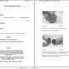 Caterpillar Engine 3126B 9ZF Operators Service Manual and Electrical Schematics 1