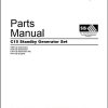 Caterpillar Engine C15 Standby Generator Set Parts Manual SEBP4325 17 1