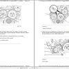 Caterpillar Engine C4.4 GLD Operators Service Manual and Electrical Schematics 2