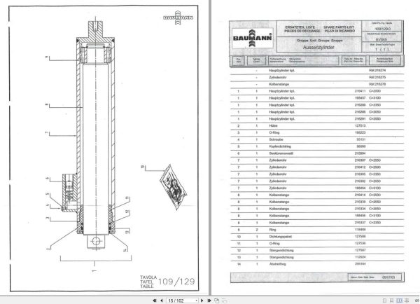 Baumann Forklift EVS45 EVS50 Parts Manual 2