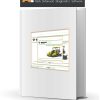 Bomag Asphalt Paver 2023 Electric Hydraulic Schematics Collection scaled