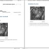Caterpillar Track Type Tractor D5N AKD Operators Service Manual Schematics 2