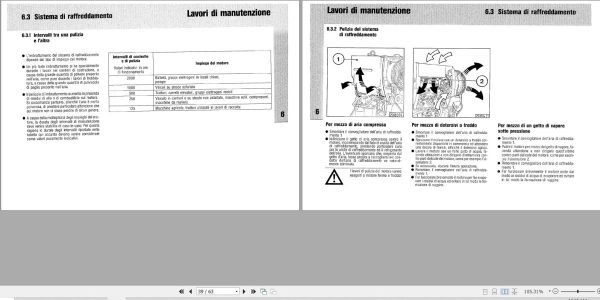 Deutz Engine BF4L1011T Operation Manual 02974742it IT 2