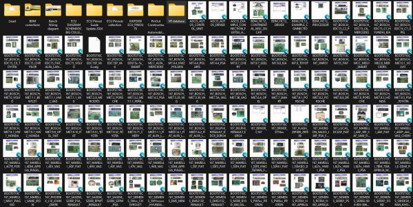 DimSport ECU pinouts and flash 2025 1