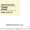 Hangcha Engine BY491 GP Parts Catalog 2012 1