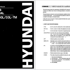 Hyundai Forklift 25L 7M 30L 7M 33L 7M Parts Manual 91HF 30200 1