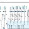 Kobelco Crawler Crane BME800G Electric Hydraulic Circuit Diagrams 2