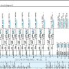 Kobelco Crawler Crane CKE1350 1F Electric Hydraulic Circuit Diagrams 2