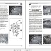 Landini Tractor Powerfarm 60 105 M4 Tier3 Service Manual 3675940M4 FR 2