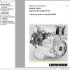 Liebherr Engine D976 A7 00 D976 A7 04 Repair Instructions Manual 13764937 FR 1