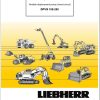 Liebherr Hydraulic Pump DPVG108 280 Repair Manual 10142956 1