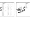 Massey Ferguson T3060 Domestic Uzel Turkey Parts Catalog UZT3001 1