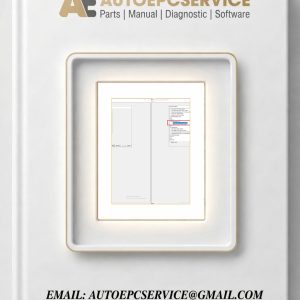 Still Steds 2024 Diagnostic Database Content 1 1 download