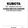 Kubota Engine WG3800 GL E3C HCF 1 Parts List 2021 ZH 1