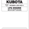 Kubota Engine WG3800 L E5C HCF 1 Parts List 2021 EN ZH 1