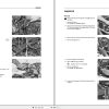 Massey Ferguson Tractor 2400 Series Workshop Service Manual 1857495M1 2