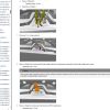BYD Seagull Dolphin 2024 Service Manual 2