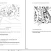 Chevrolet Corvette Z51 C7 2016 Service Repair Manual 2