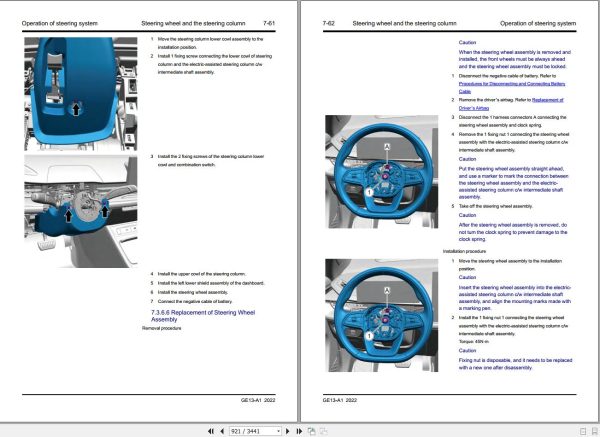 Geely Geometry C 2021 Workshop Manual 3