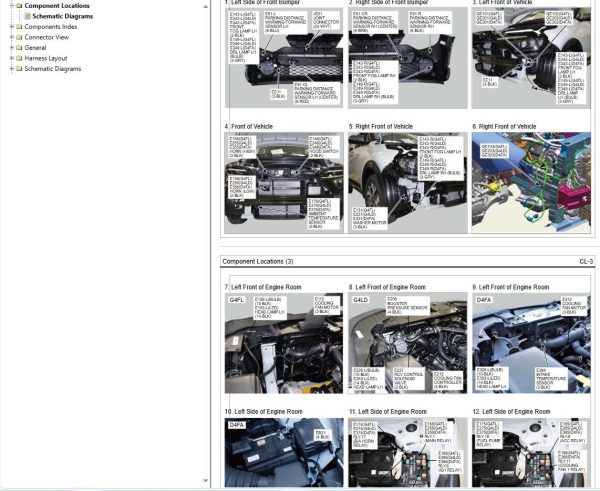 Kia CAREN KY D1.5 TCI U2 2024 Electrical Wiring Diagrams 2