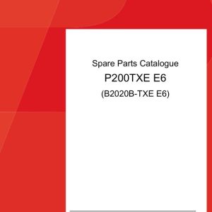 Palfinger Platforms P200TXE E6 B2020B TXE E6 Spare Parts Catalog 1