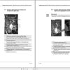 Sennebogen Material Handlers 730 730.0.130 Operating and Maintenance Manual RU 2