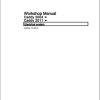 Volkswagen Caddy 2004-2015 Workshop Manual (1)