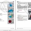Volkswagen Polo A05 6R 6R1 6C1 Workshop Manual 2010 2019 3
