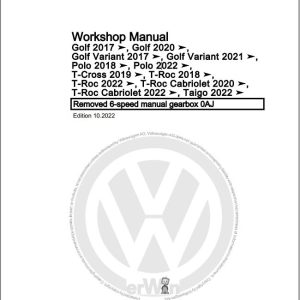 Volkswagen Polo AE1 Workshop Manual 2022 1