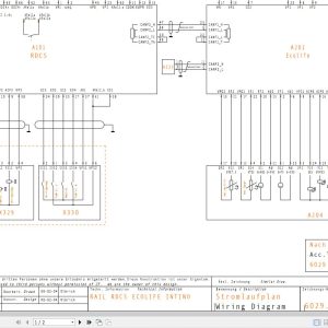 ZF Rail Drive Control System Circuit Diagram EN DE (1)
