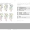 ZF Transmission 4 WG 190 4 WG 210 Operating Instructions 5872.194.002 en (2)