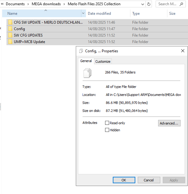 Merlo Flash Files 2025 Collection
