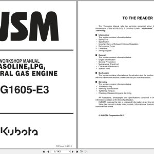 Kubota Engine WG1605 E3 Workshop Manual 9Y111 06612 2014 (1)