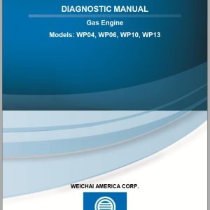 Weichai Gas Engine WP04 WP06 WP10 WP13 Diagnostic Manual (1)