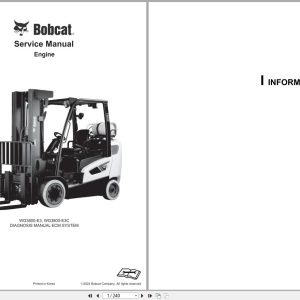 Bobcat Engine WG3800 E3 WG3800 E3C ECM System Diagnosis Manual DSB4550E00 (2)