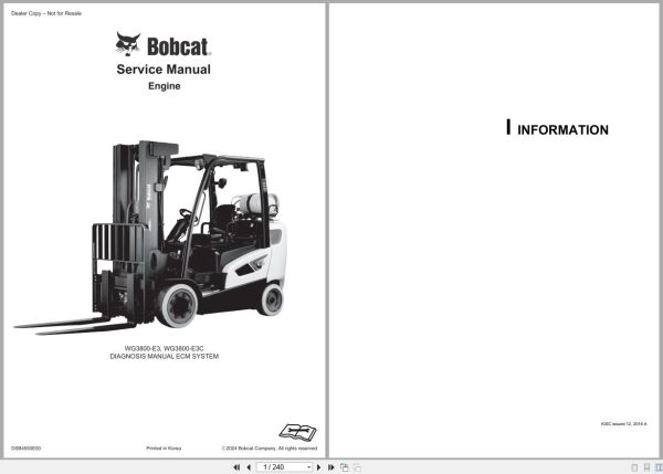 Bobcat Engine WG3800 E3 WG3800 E3C ECM System Diagnosis Manual DSB4550E00 (2)
