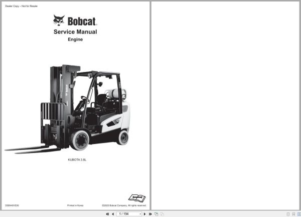 Bobcat Kubota Engine 3.8L Service Manual DSB4491E00 (1)