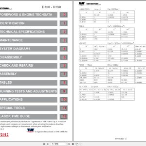VM Motori Engine D700 D750 Series D703L to D703TE0 Workshop Manual 2012 (1)
