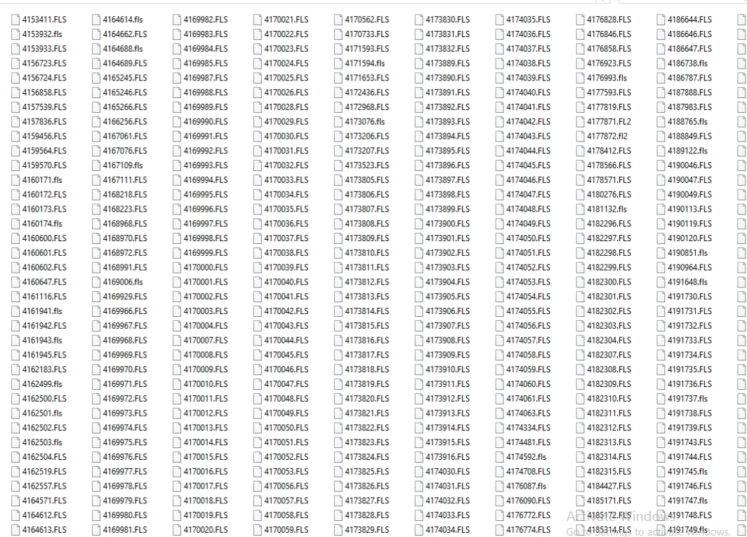 CAT FLASH FILES 69GB Collection 1