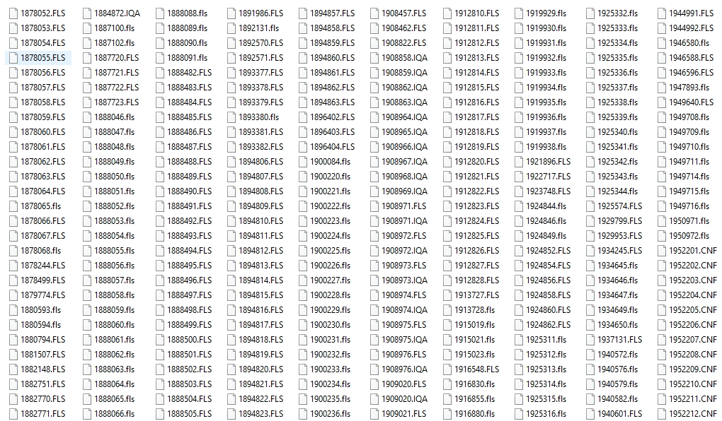 CAT FLASH FILES 49 GB Collection 1
