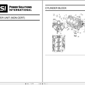 PSI Engine 4.3L Parts Book 39004196 (1)