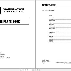 PSI Engine 4X Parts Book 39004197 2017 (1)
