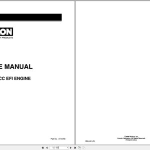 TEXTRON Engine Suzuki 660CC EFI Service Manual 4115756 (1)