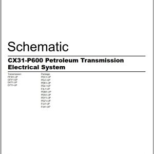 CAT Petroleum Products CX31 P600 Electrical Schematic (1)