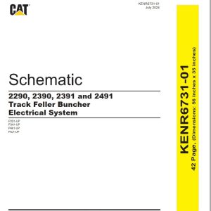 CAT Track Feller Buncher 2491 Electrical Hydraulic Schematic (1)