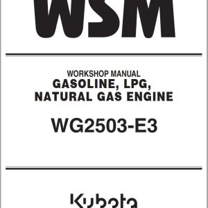 Kubota Engine WG2503 E3 Workshop Manual 9Y111 09142 (1)