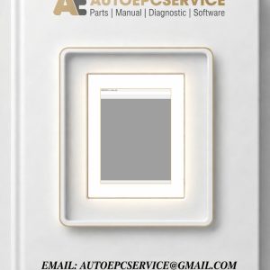 Manitowoc Crane Service Tool 6970 2019.08 Remote Installation download